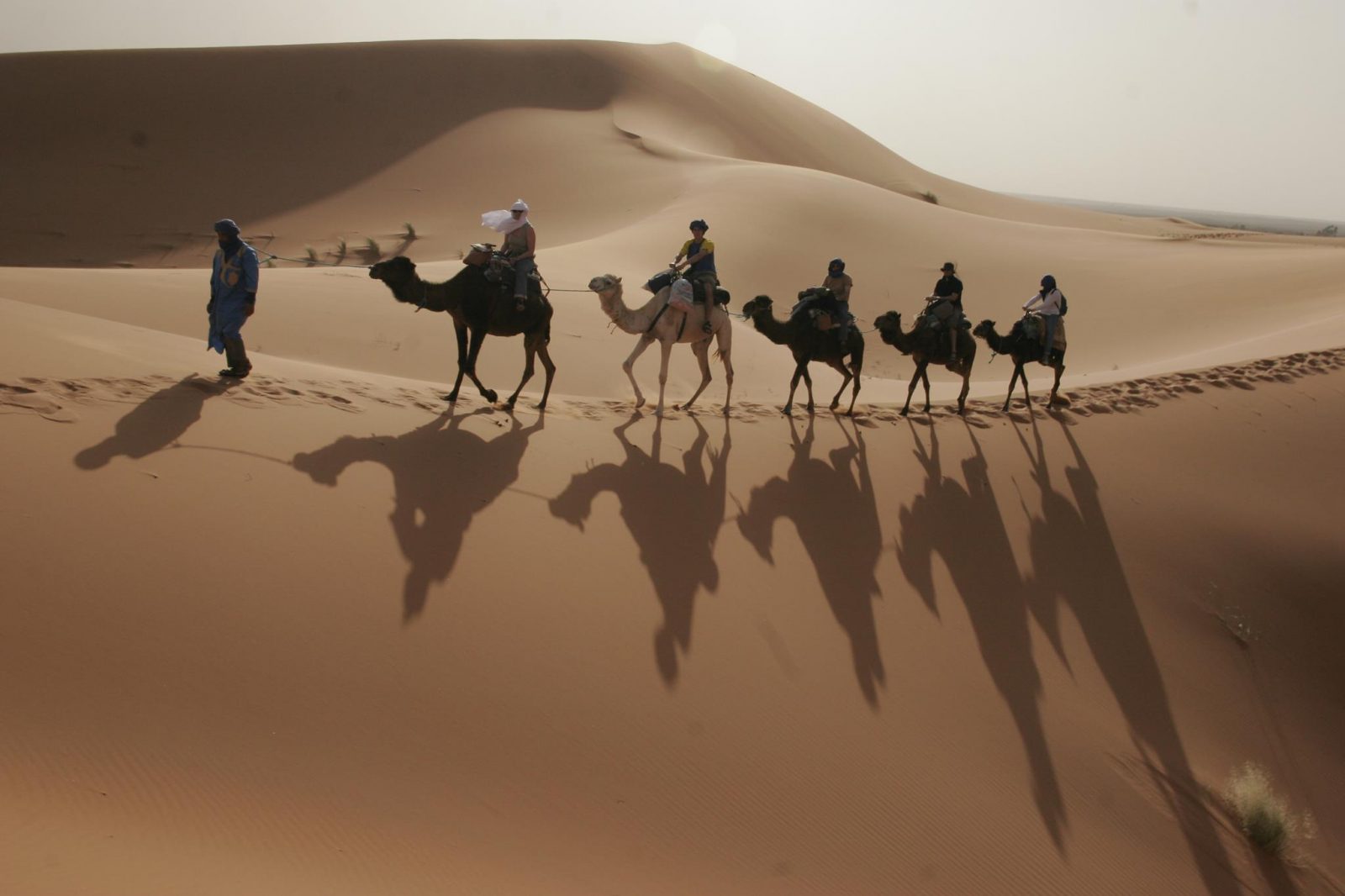 Karim Sahara Prestige