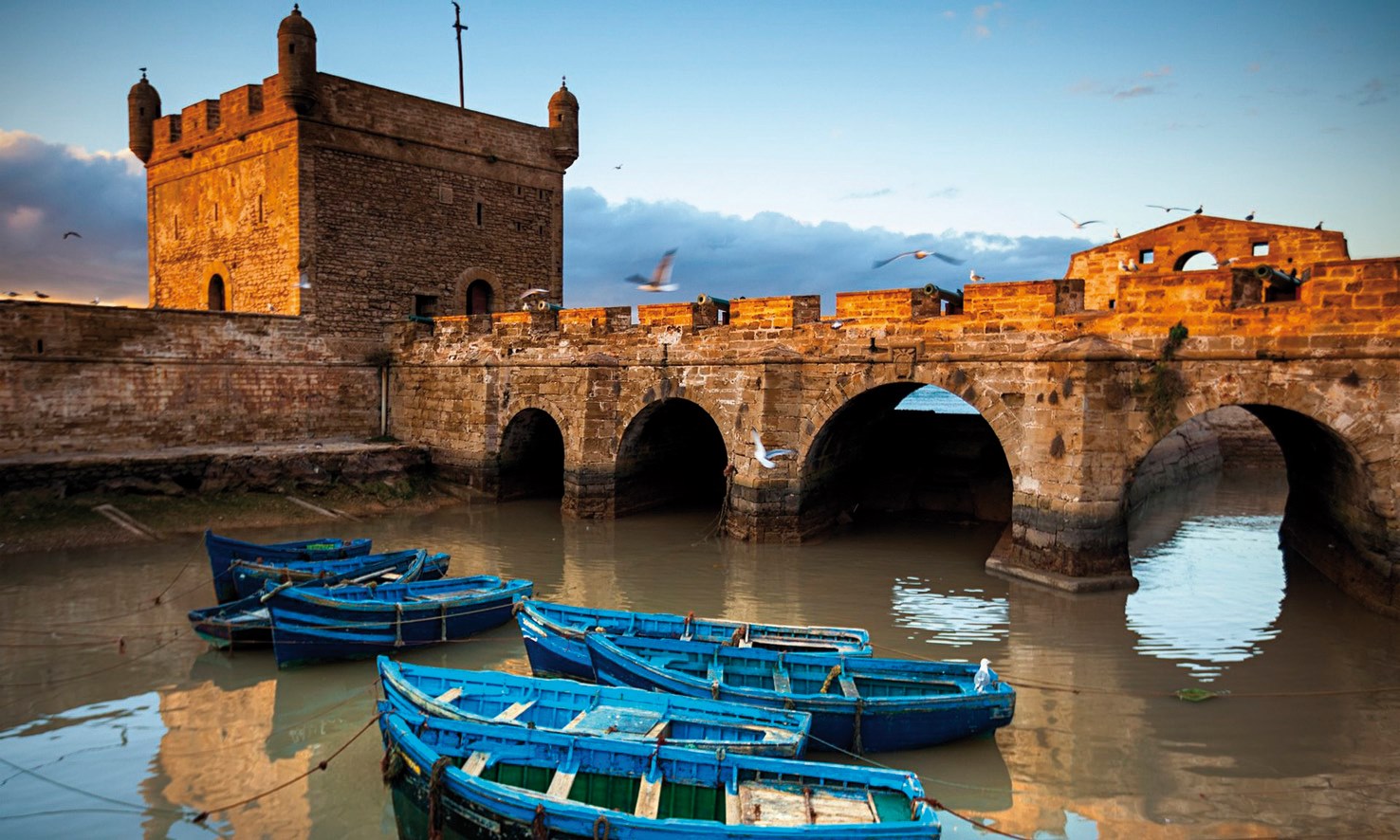 Découvrez les plages et les dunes d'Essaouira d'une manière différente et amusante