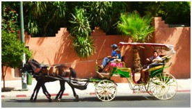 Visite guidée historique et culturelle de Marrakech